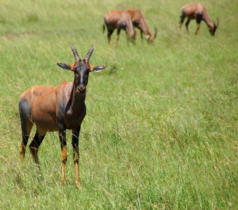 Photograph by Юрий Сычев