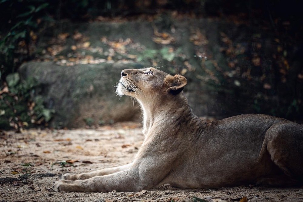 Photograph by Елена Цырюк