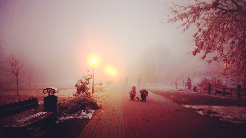 Photograph by Екатерина Кваша