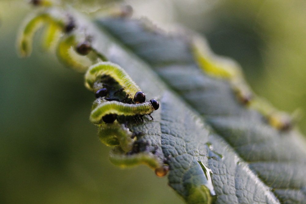 Photograph by Светлана Попкова