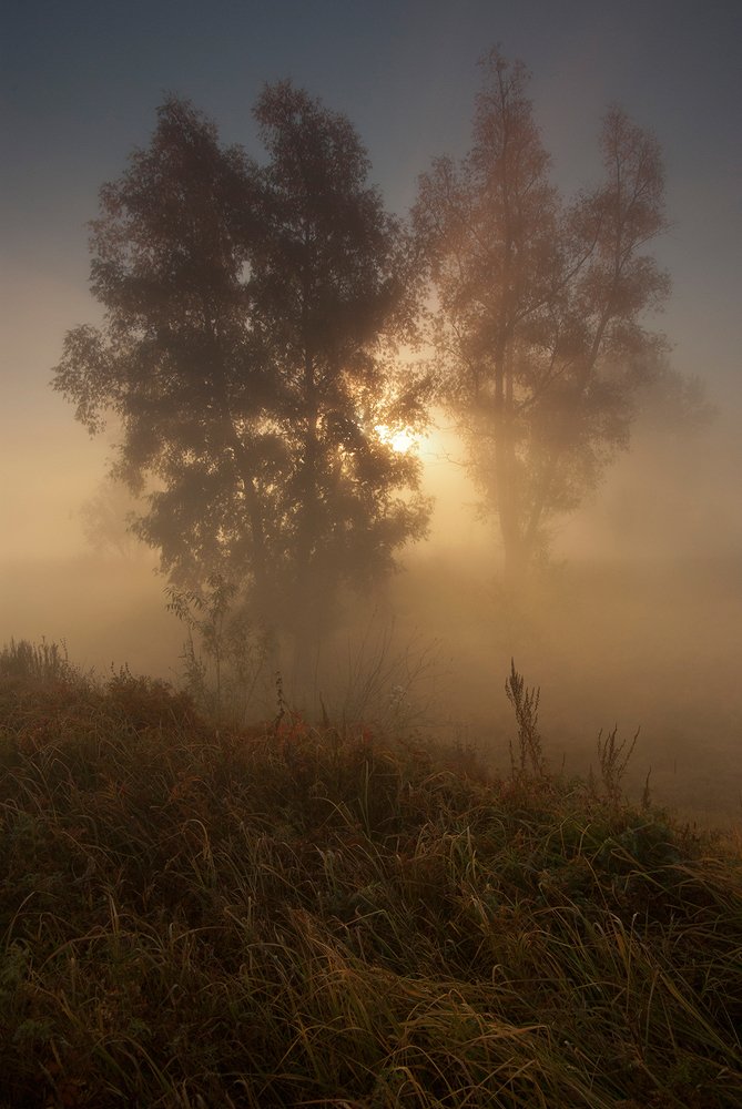 Photograph by Валерий Чичкин