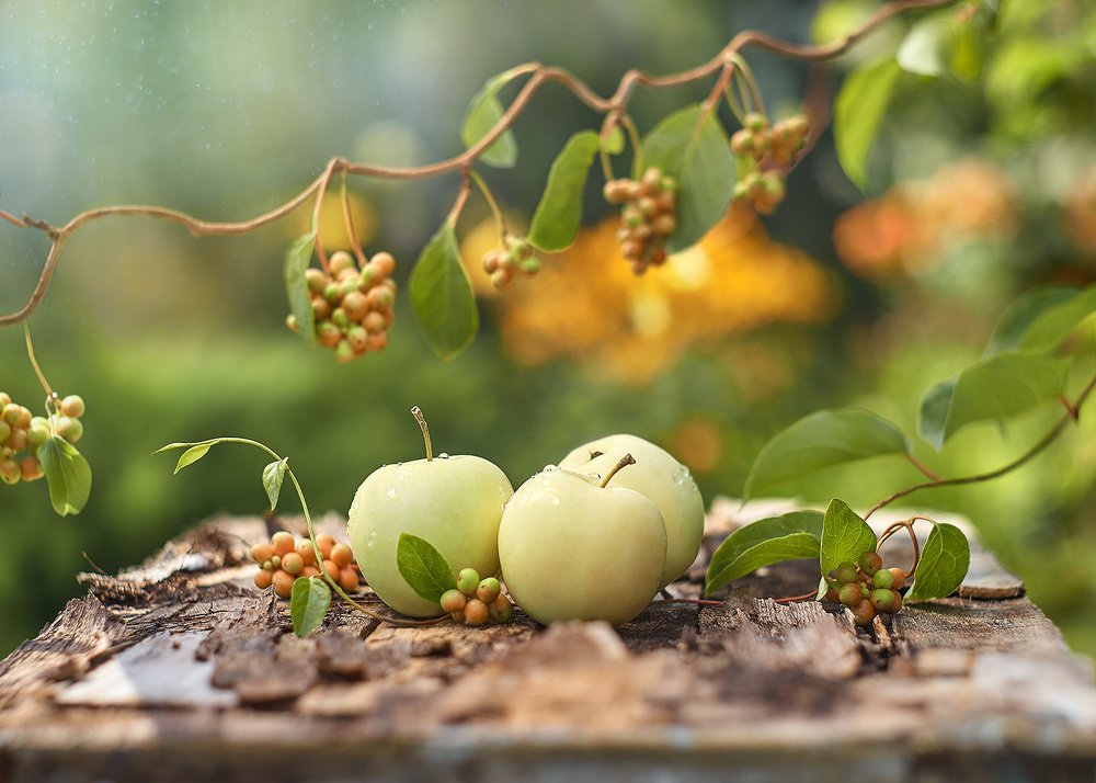 Photograph by Екатерина Глебова