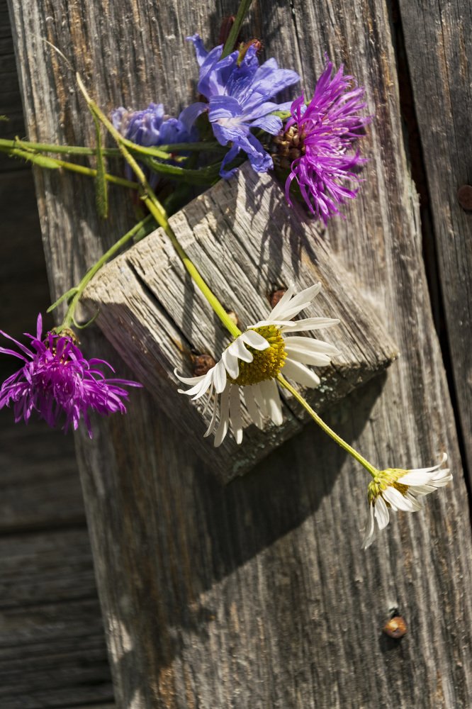 Photograph by Лилия Кондратьева