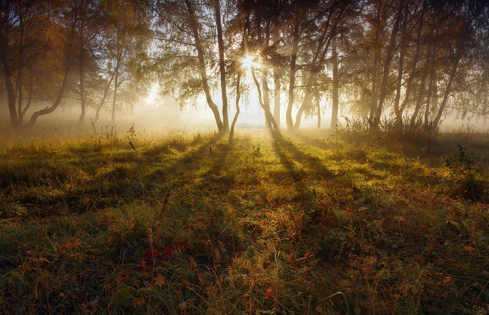 Photograph by Валерий Чичкин