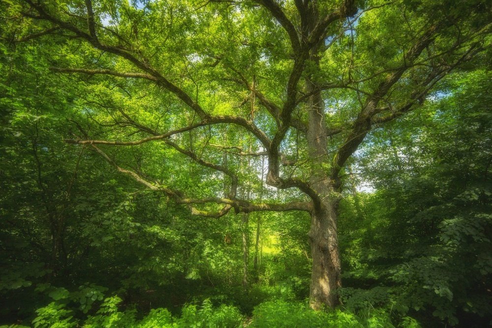 Photograph by 