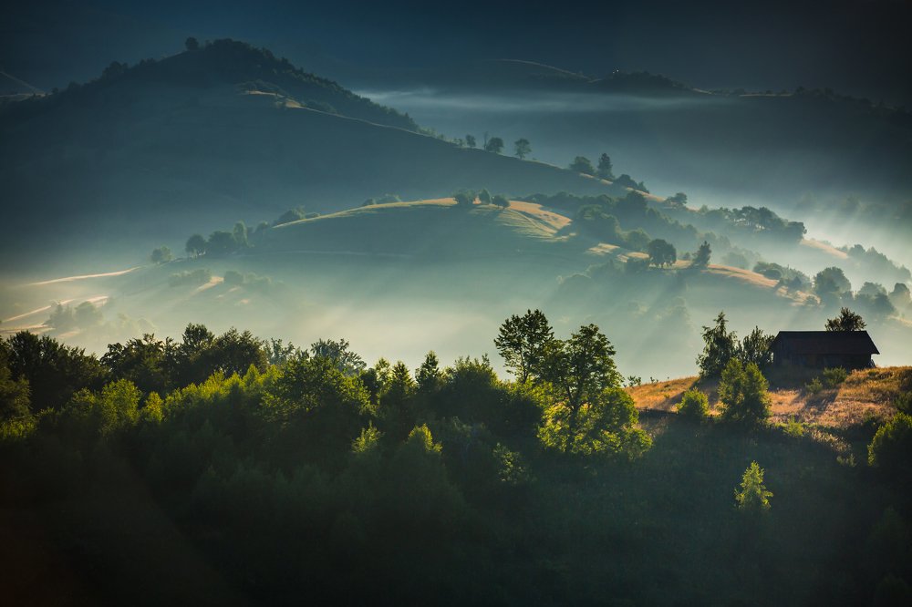 Photograph by ATTILA SZABO