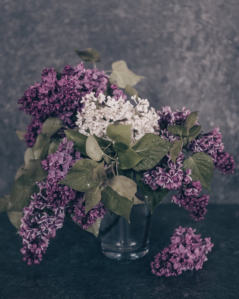 Photograph by Мария