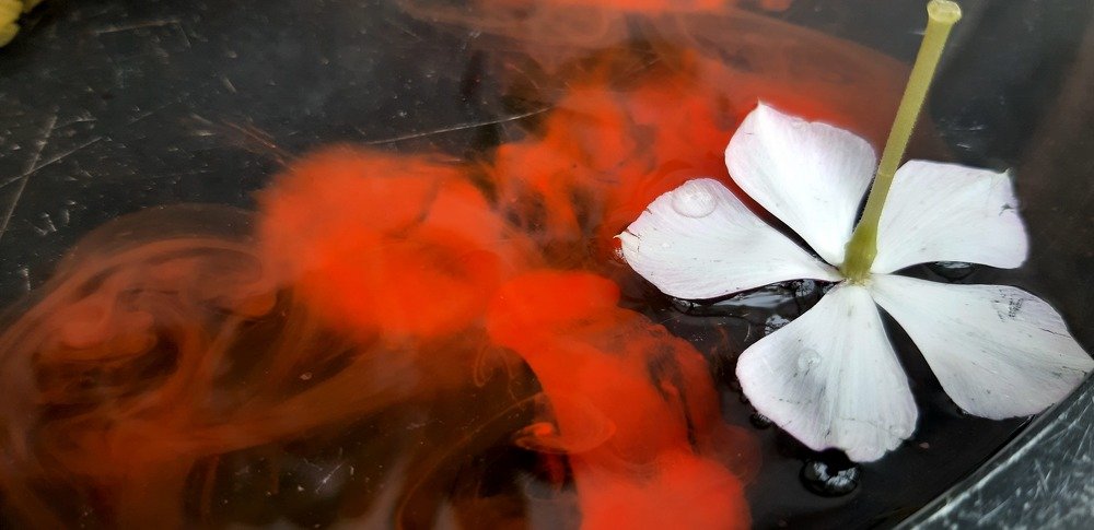 Фотография автора Paul Anton Mahinay