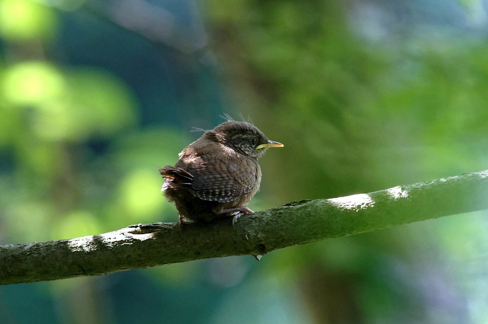Photograph by Алексей Долженко