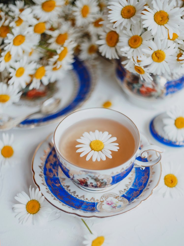 Photograph by Kristina Shlimovich