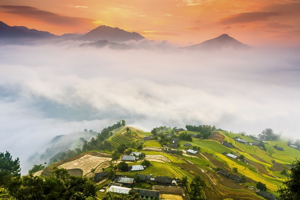 Photograph by Ngoc Vu Bao