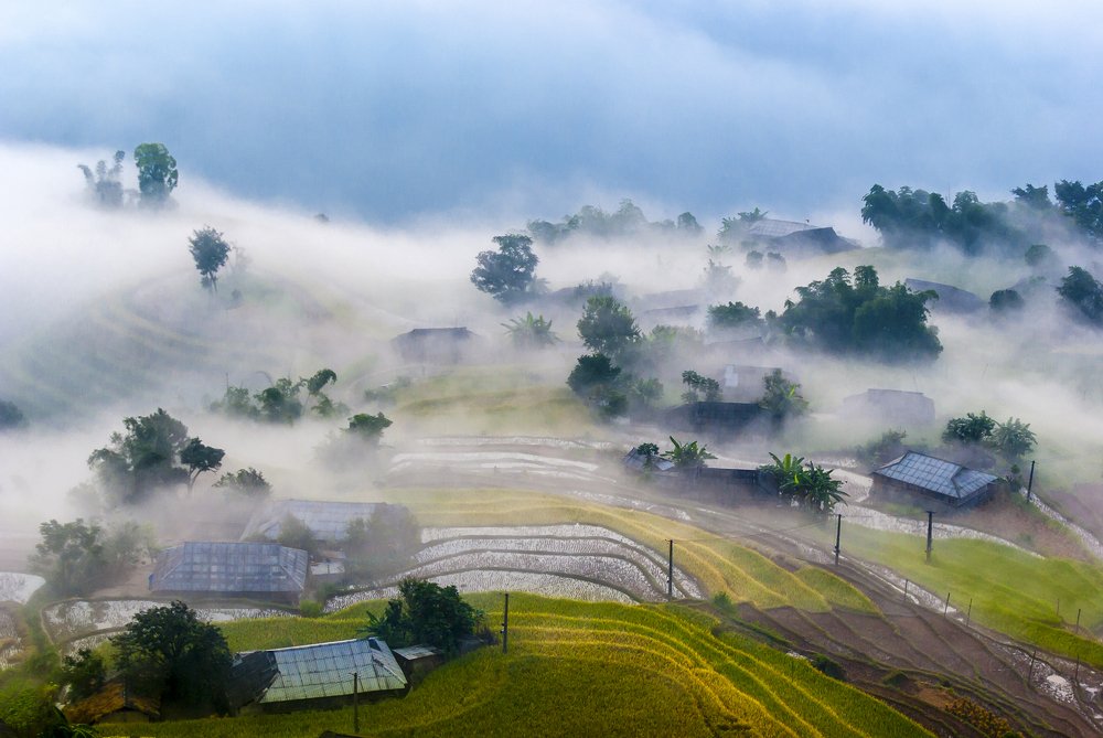 Photograph by Ngoc Vu Bao
