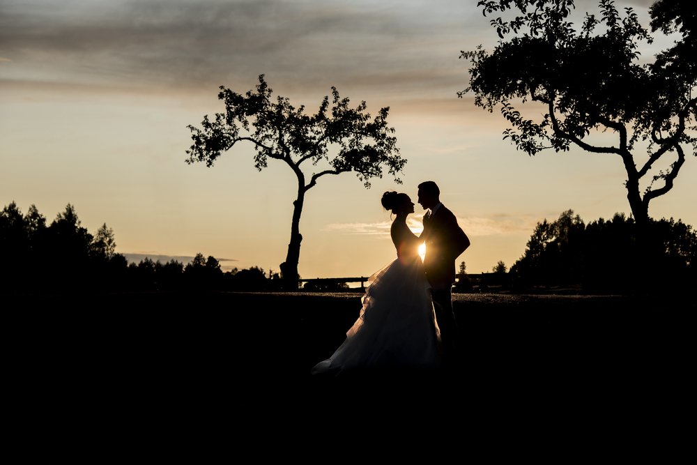 Photograph by Martynas Galdikas