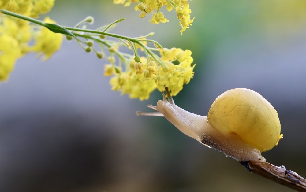 Photograph by Малика Маткарим