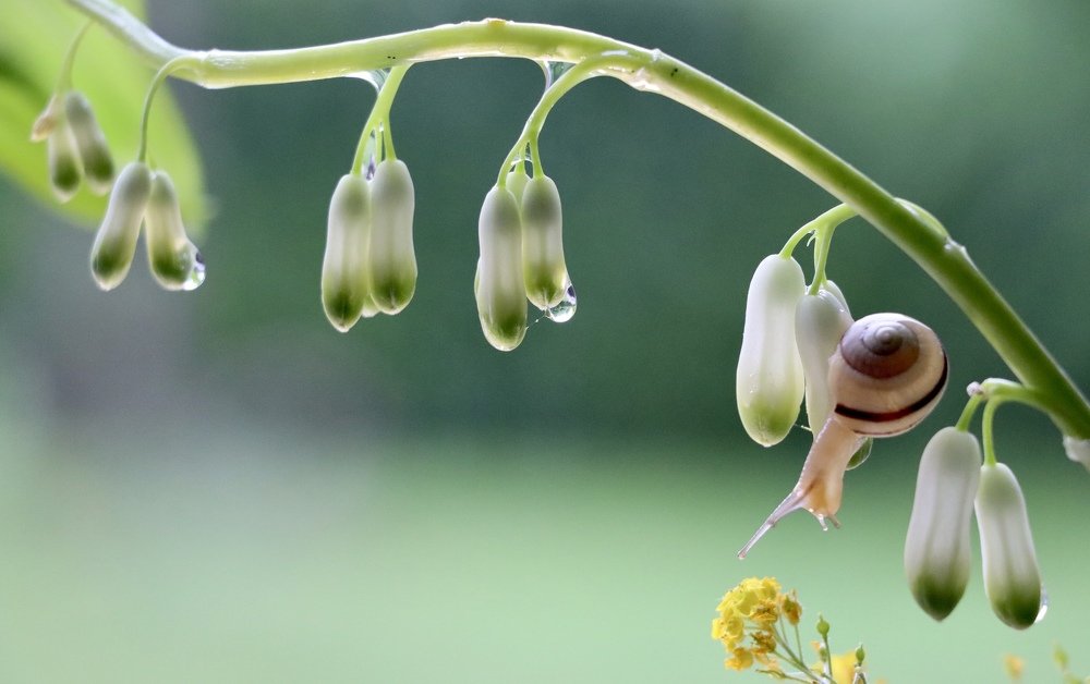 Photograph by Малика Маткарим