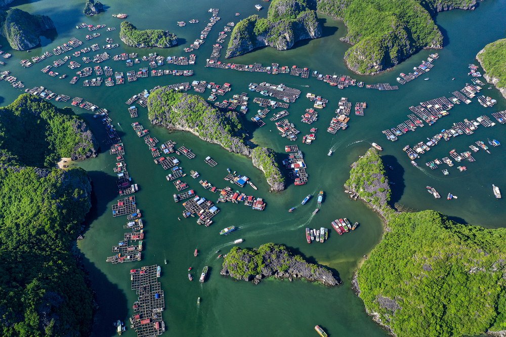 Photograph by Ngoc Vu Bao