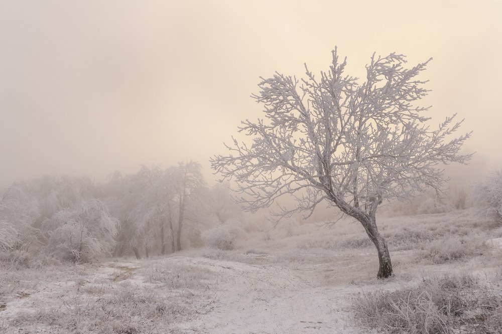 Photograph by Оксана Носкова