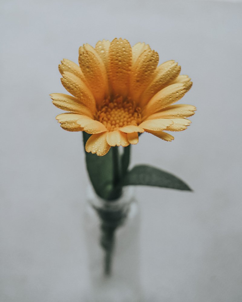 Photograph by Наталья Мальцева