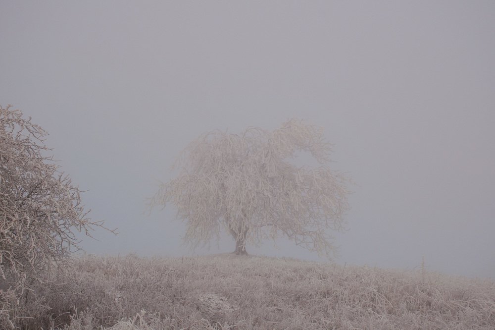 Photograph by Оксана Носкова