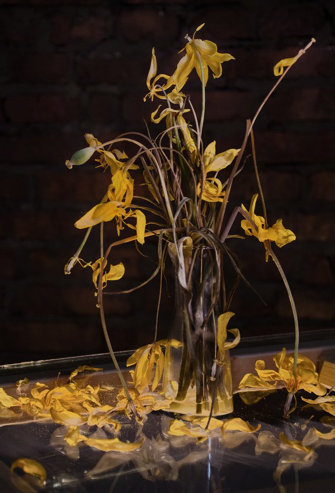 Photograph by Оксана Носкова