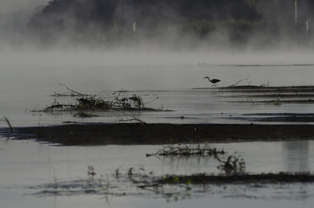 Photograph by Александр Щербаков