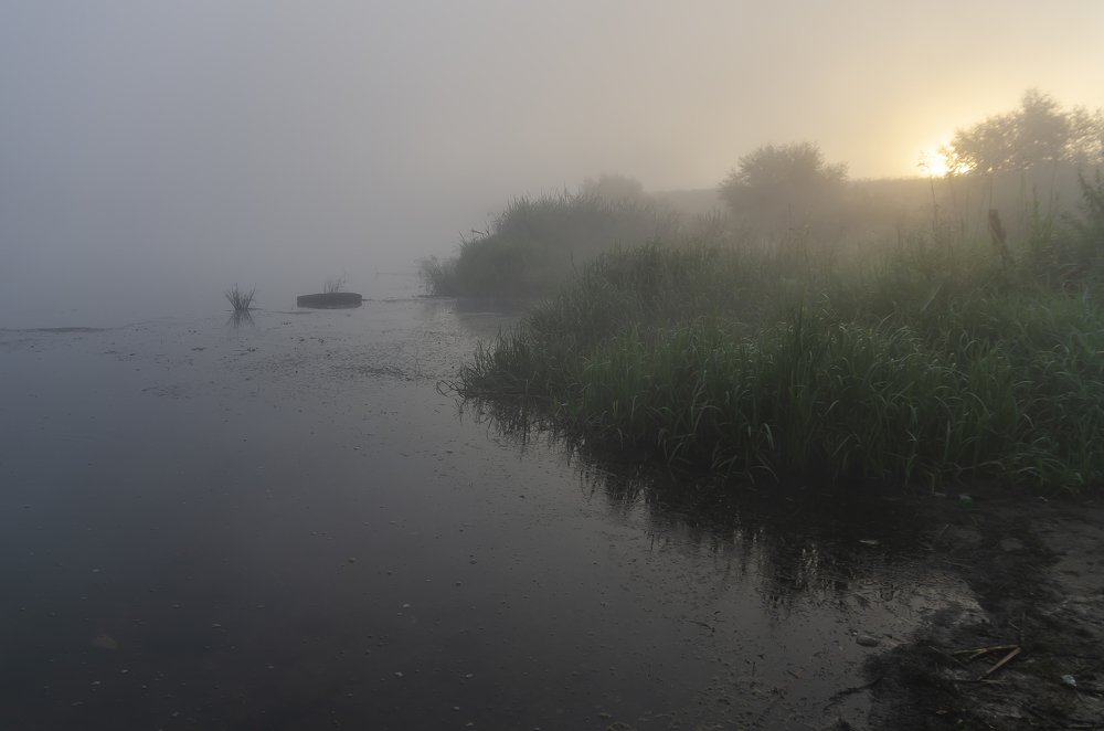 Photograph by Александр Щербаков