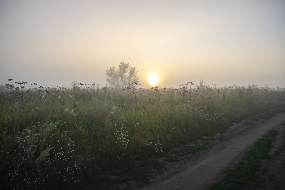 Photograph by Александр Щербаков