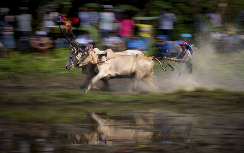 Photograph by Ngoc Vu Bao