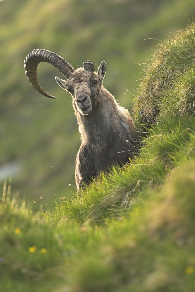 Photograph by Lubomir Novak