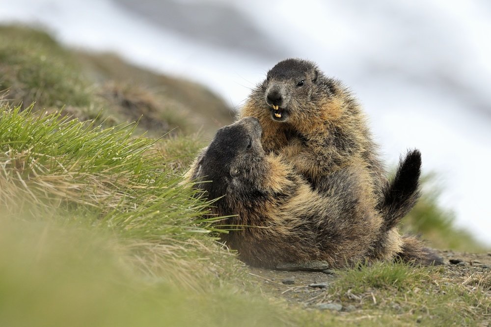 Photograph by Lubomir Novak