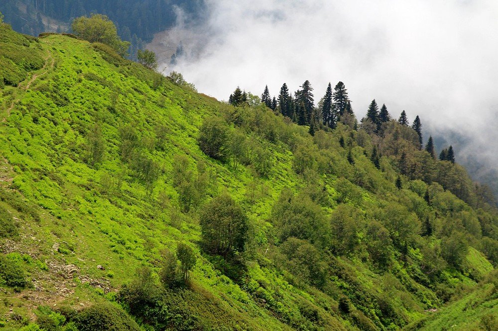 Photograph by Переслегин Александр