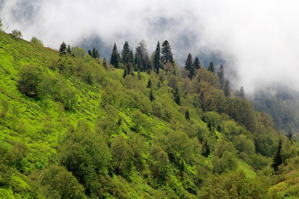 Photograph by Переслегин Александр