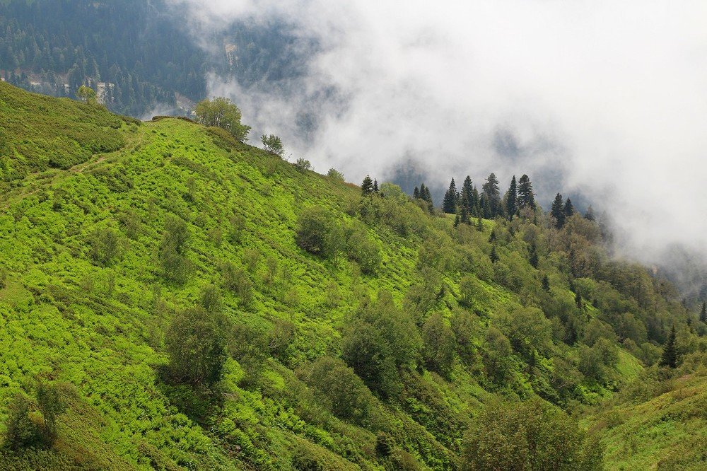 Photograph by Переслегин Александр