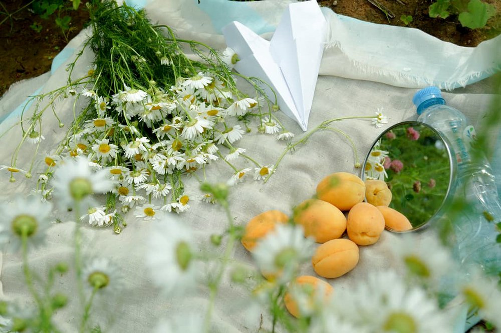 Photograph by Любовь Дворникова