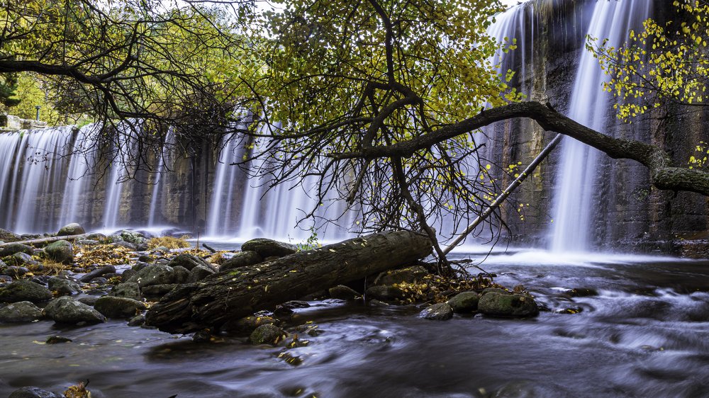 Otoño en guadarrama