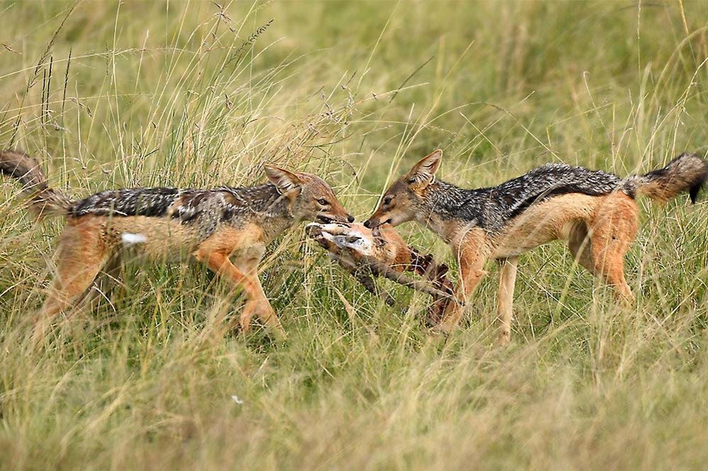 Photograph by SACHIN MATKAR