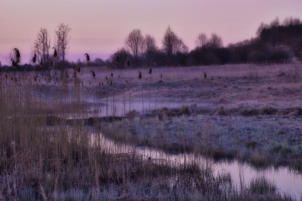 Photograph by Григорий Ефимов