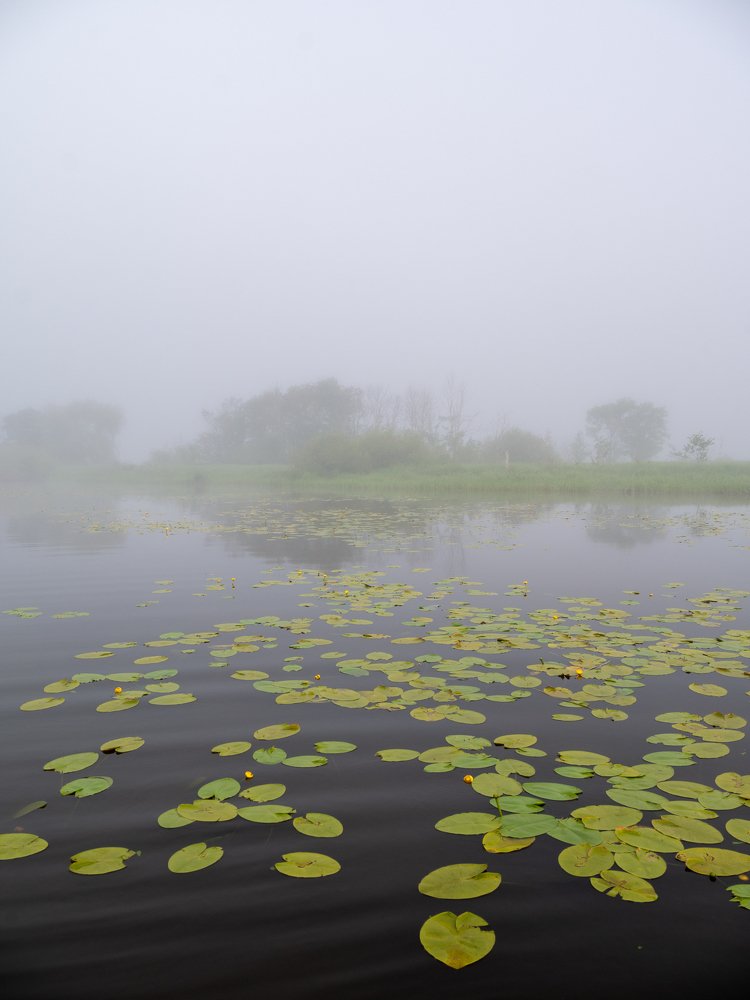 Photograph by Андрей Шингаркин