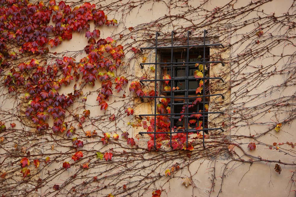 Photograph by Александр Волжинский