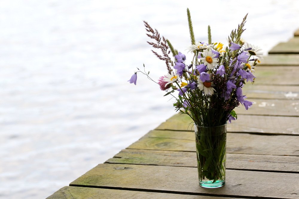 Фотография автора Елена Колосова