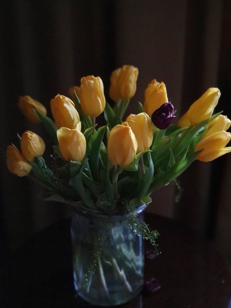 Photograph by Надежда Аксёнова