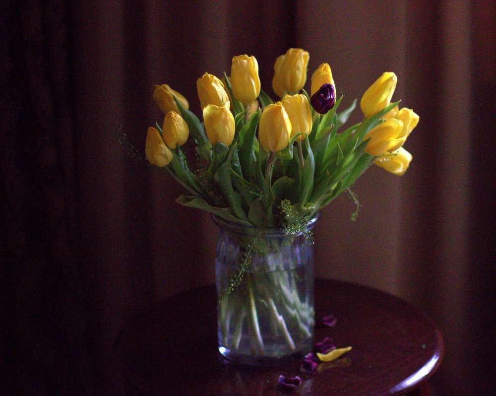 Photograph by Надежда Аксёнова