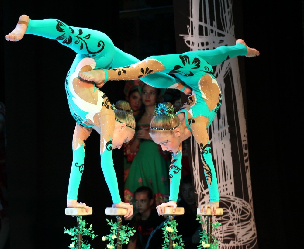 Фотография автора Елена Колосова