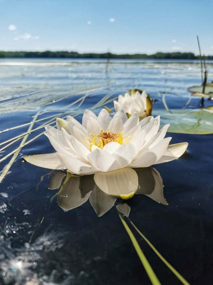 Photograph by Оля Герасимова