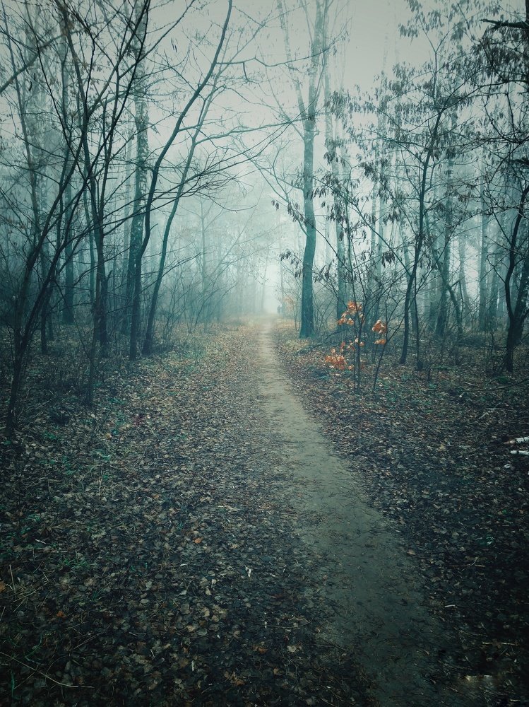 Photograph by Наталья Микулич