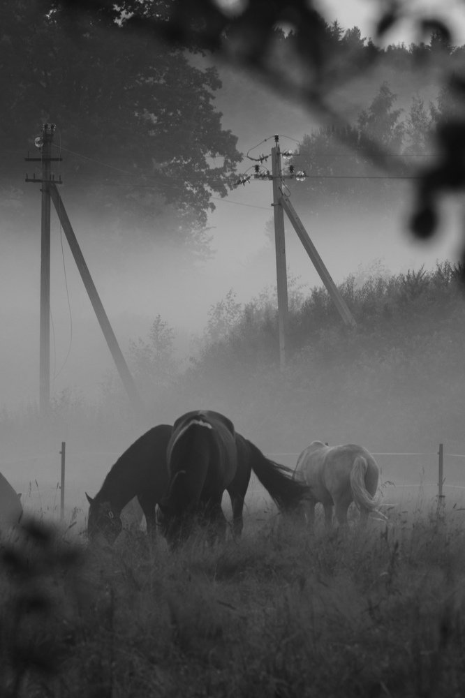 Photograph by Андрей Синявский
