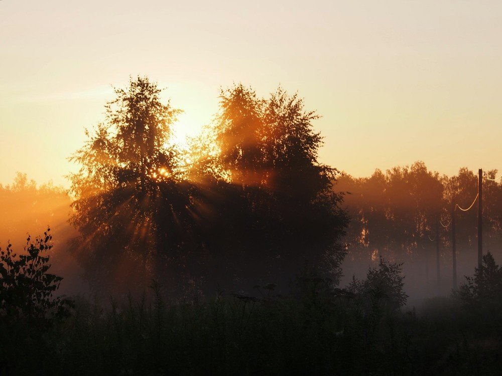 Photograph by Serge S. Pashintsev