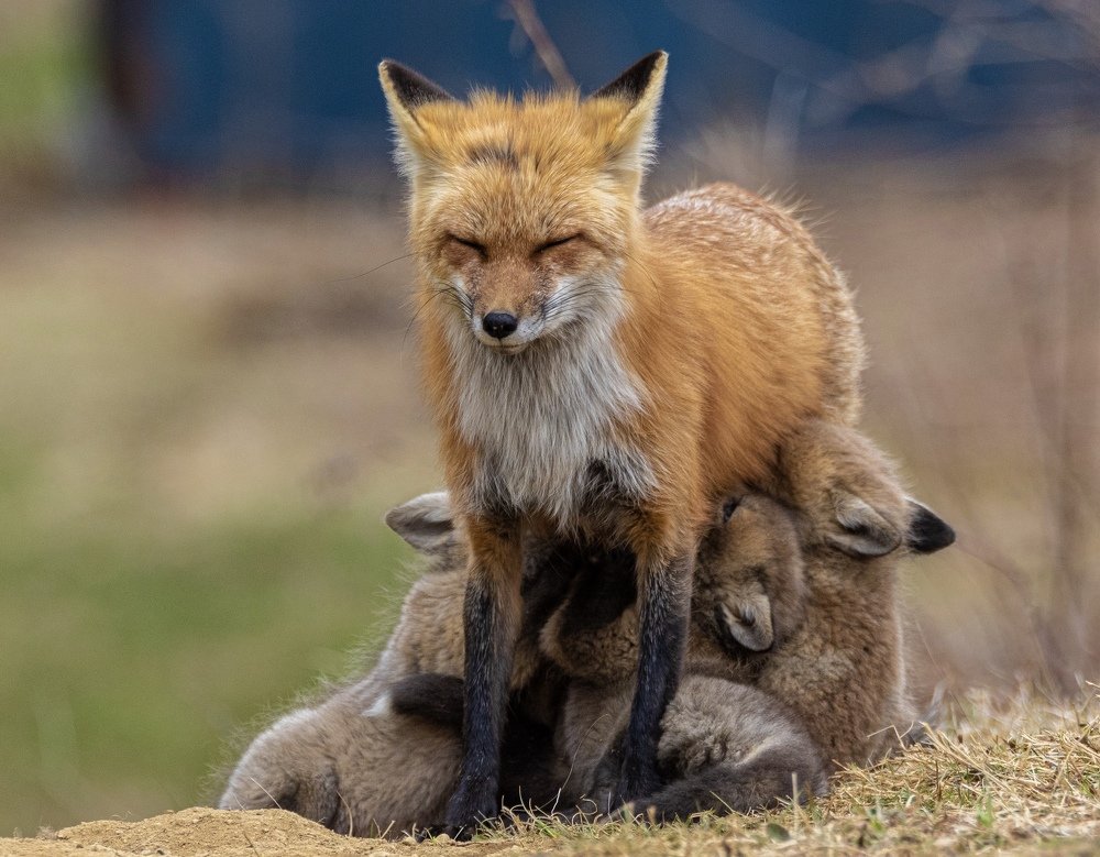 Photograph by Chris LAbbe