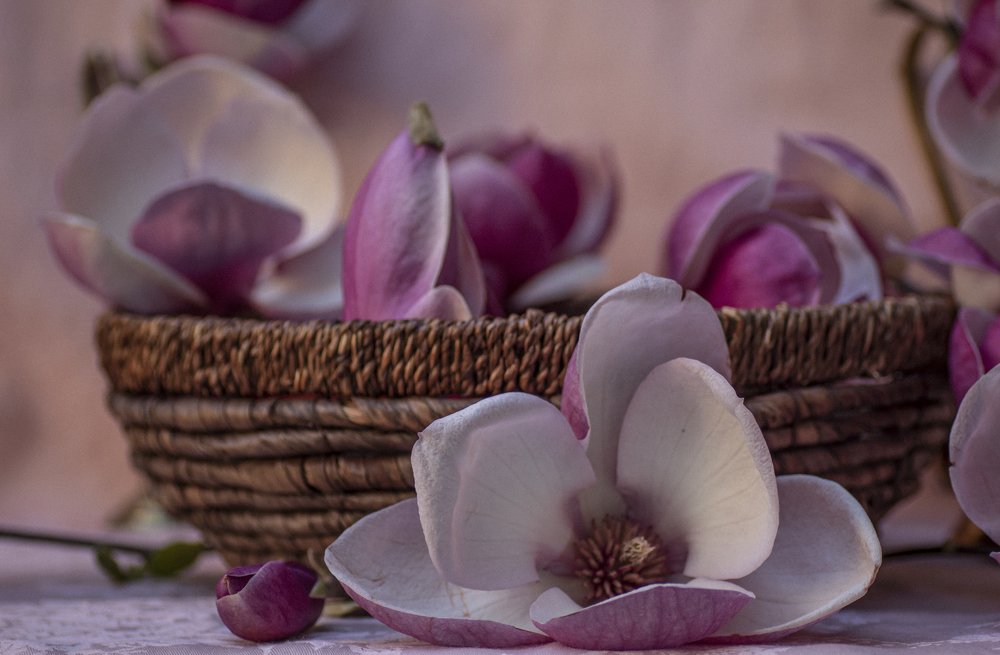 Photograph by Constantin Lazar