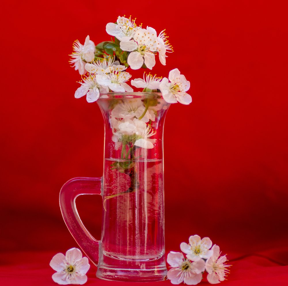 Photograph by Constantin Lazar